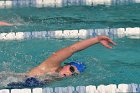 Swimming vs Babson  Wheaton College Swimming vs Babson College. - Photo By: KEITH NORDSTROM : Wheaton, Swimming, Babson